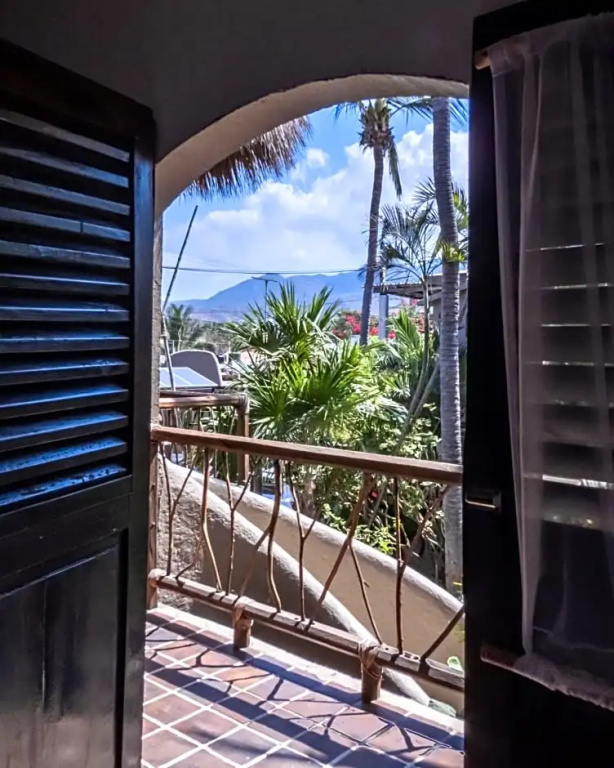 Suite with garden view