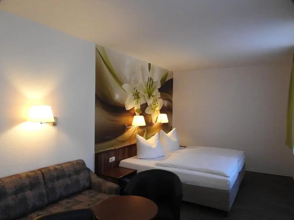 Comfort Double room (full double bed)