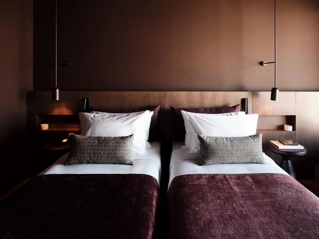 Deluxe Double room (twin beds)