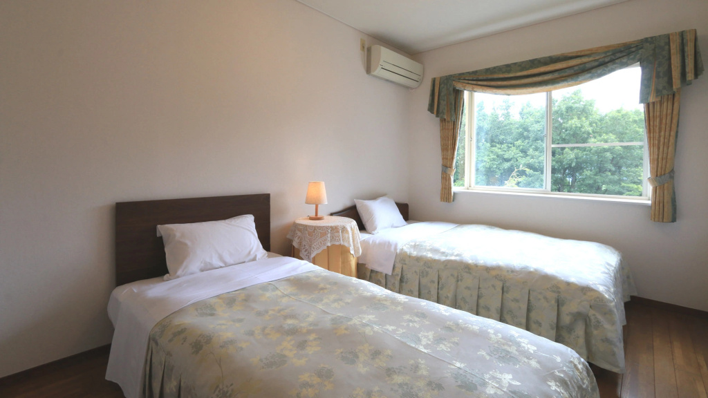 Standard Double room (twin beds)