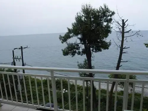 Balcony & Terrace