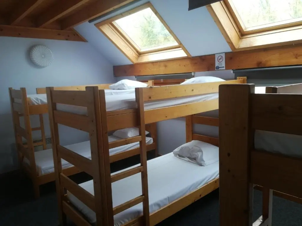 Bed in Dorm
