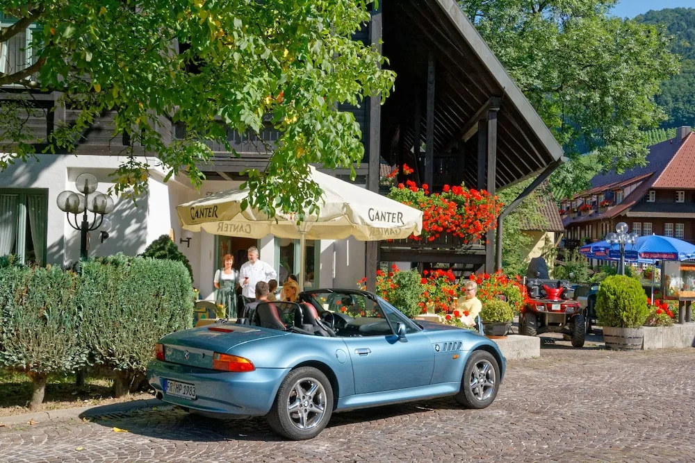 Hotel Hirschen Glottertal - Général