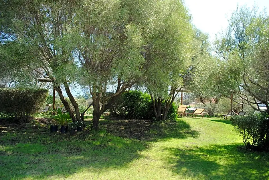 Superior Family room with garden view