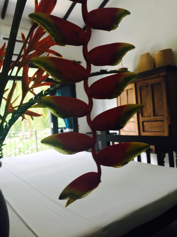 Indika's Residence