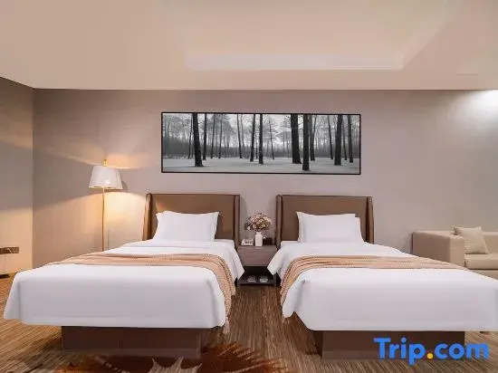 Business Double room (twin beds)