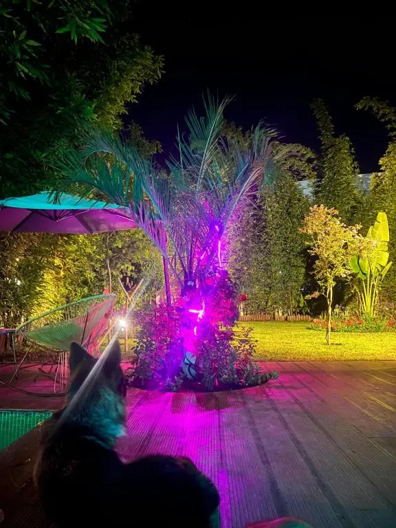 Superbe Rez de jardin avec piscine privative