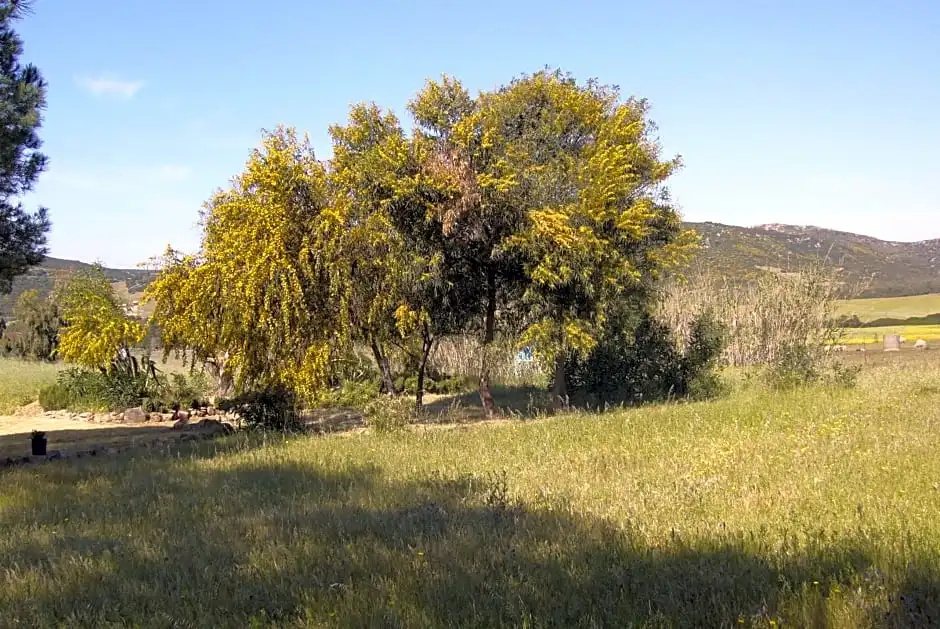 B&B Le Vele Teulada