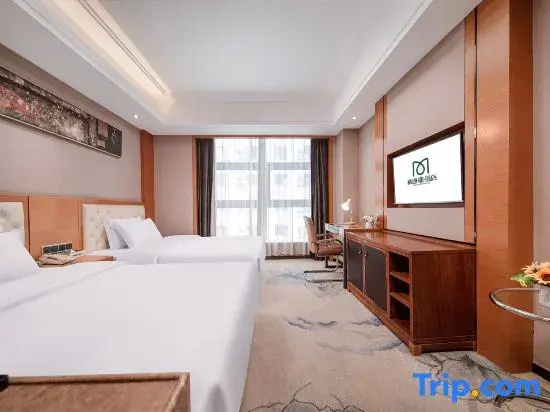 Jin-Tone 101 Hotel Nanning - Chambres