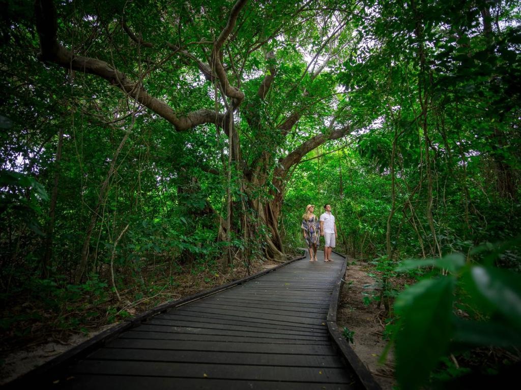 Green Island Resort - Général