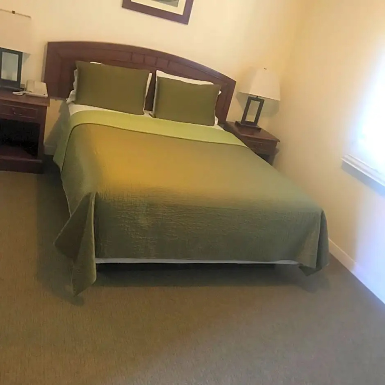 Standard Double room with garden view (full double bed)