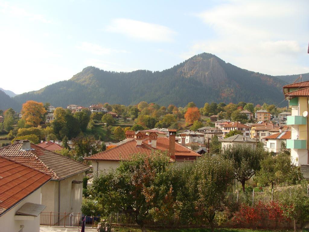 Image 8