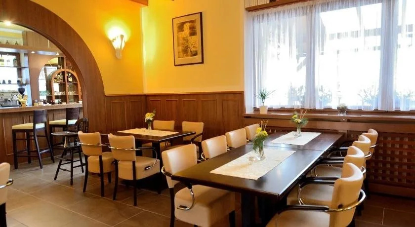Hotel U Dobrého Lva - Général