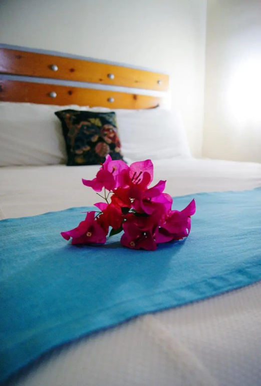Standard Double room with balcony (full double bed)