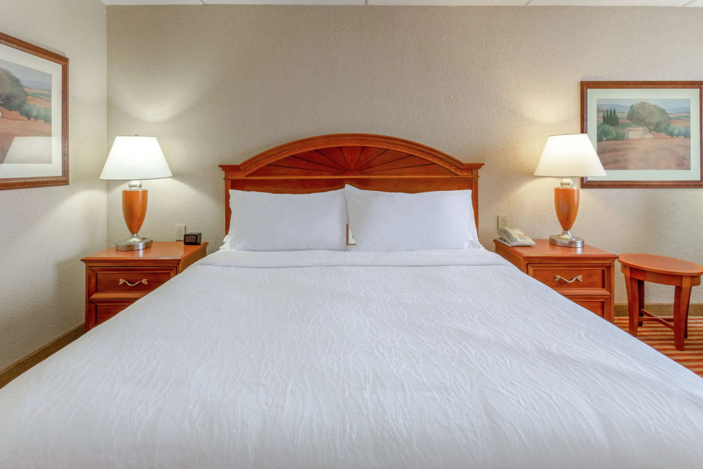 Hilton Garden Inn Richmond South/Southpark - Général