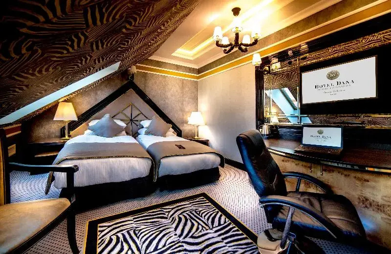 Hotel Dana Business & Conference - Chambres