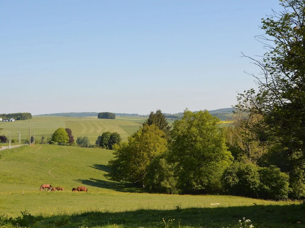 Sandwiched Between Luxembourg, Belgium and Luxembourg, a Happy Home - фото 29
