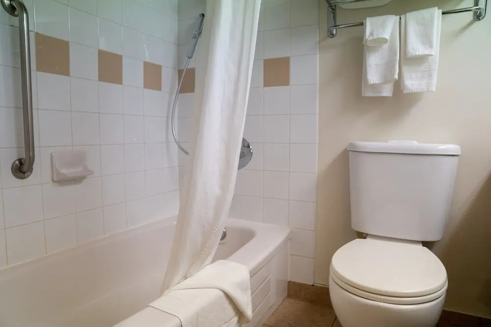Forest Park Hotel - Chambres