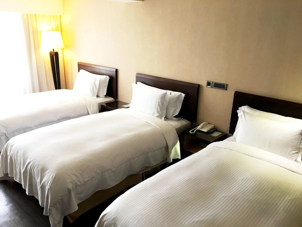 Century Hotel Taoyuan - Chambres