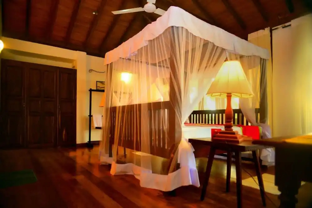 Tropical Retreat - Chambres