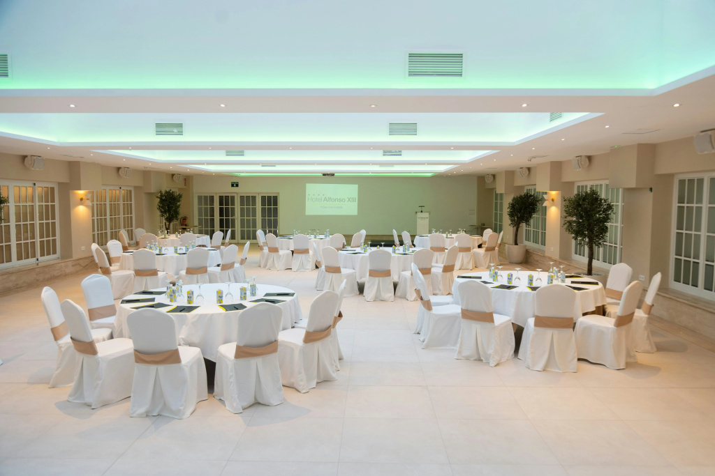Hotel Sercotel Alfonso XIII - Général