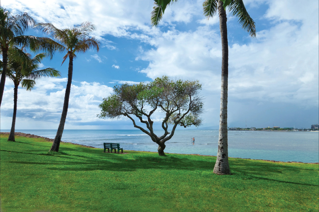 Beach & Waterfront