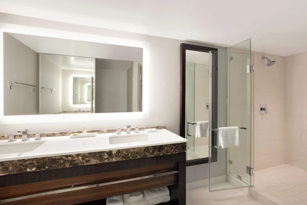 Hilton McLean Tysons Corner - Général