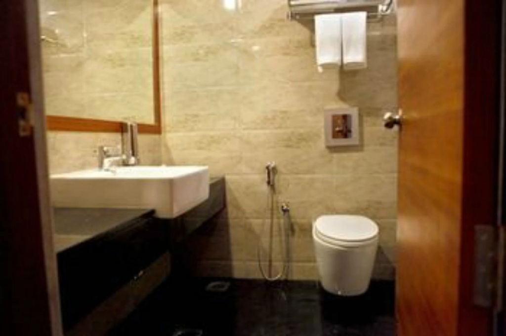 Lemon Tree Hotel Shimona - фото 8