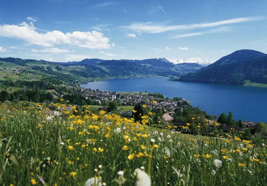 TOP SeminarHotel am Aegerisee Unteraegeri - Chambres