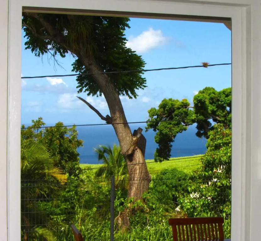 Or bleu-Bungalow volcan Soufriere-Vue sur mer