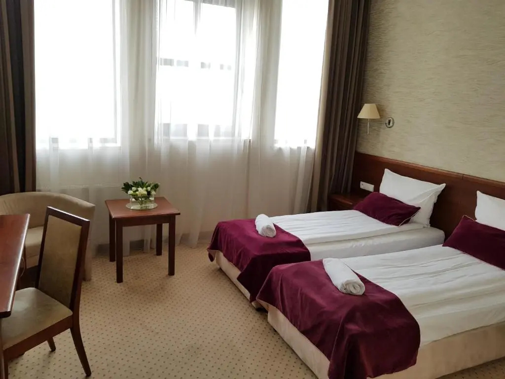 Standard Double room with city view (full double bed)