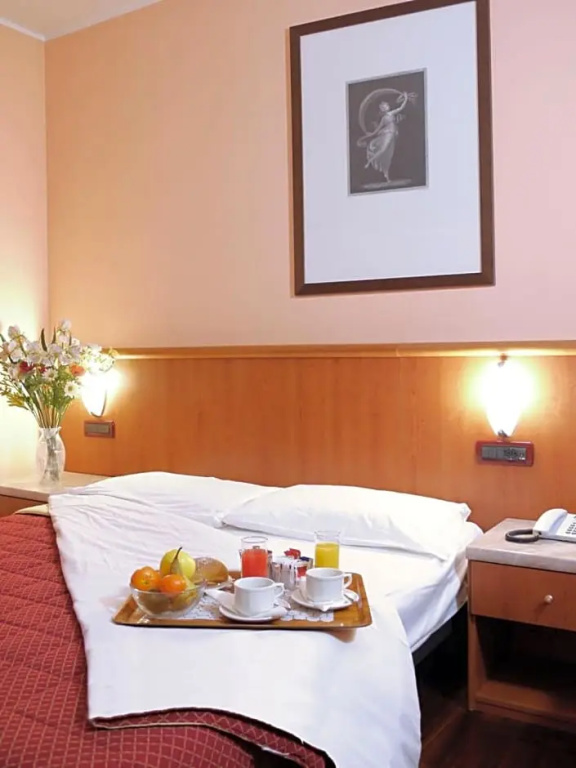 Hotel Dal Ponte - Chambres