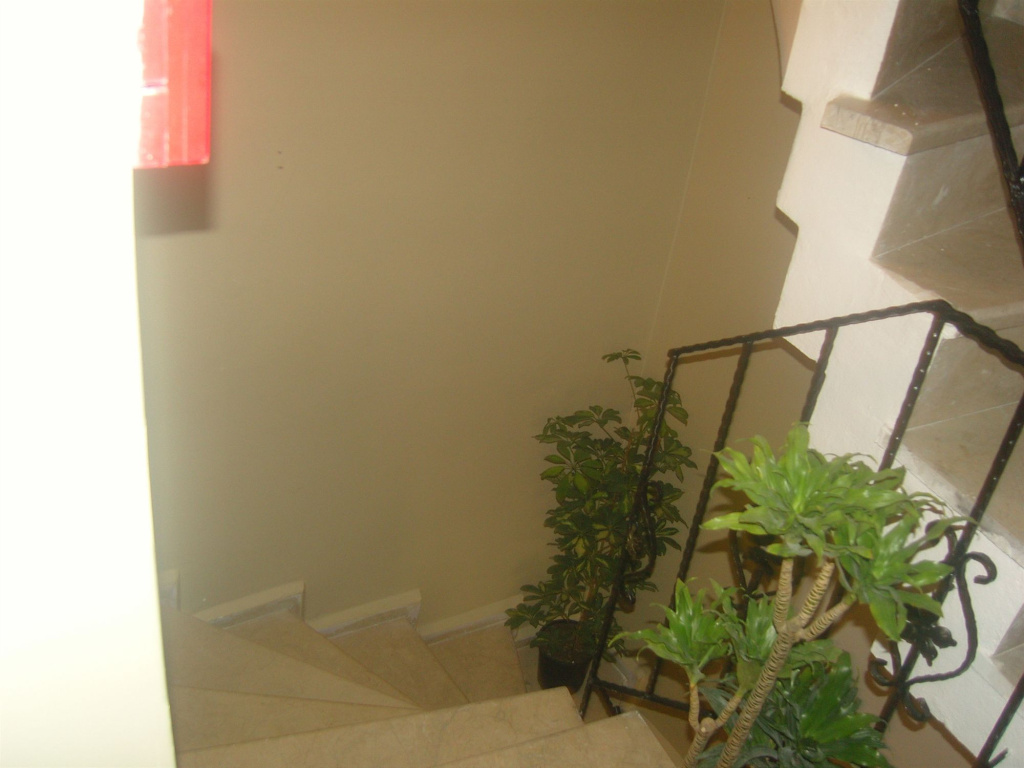 Sofia Corner Hotel - Général
