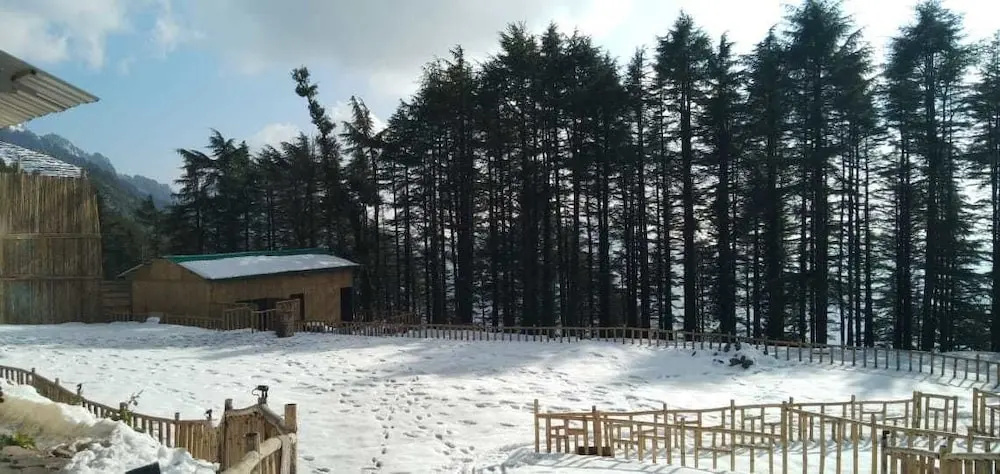 Junglee Camps & Resort
