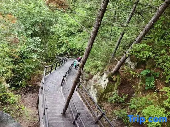 Jiayin Linge Holiday Hotel