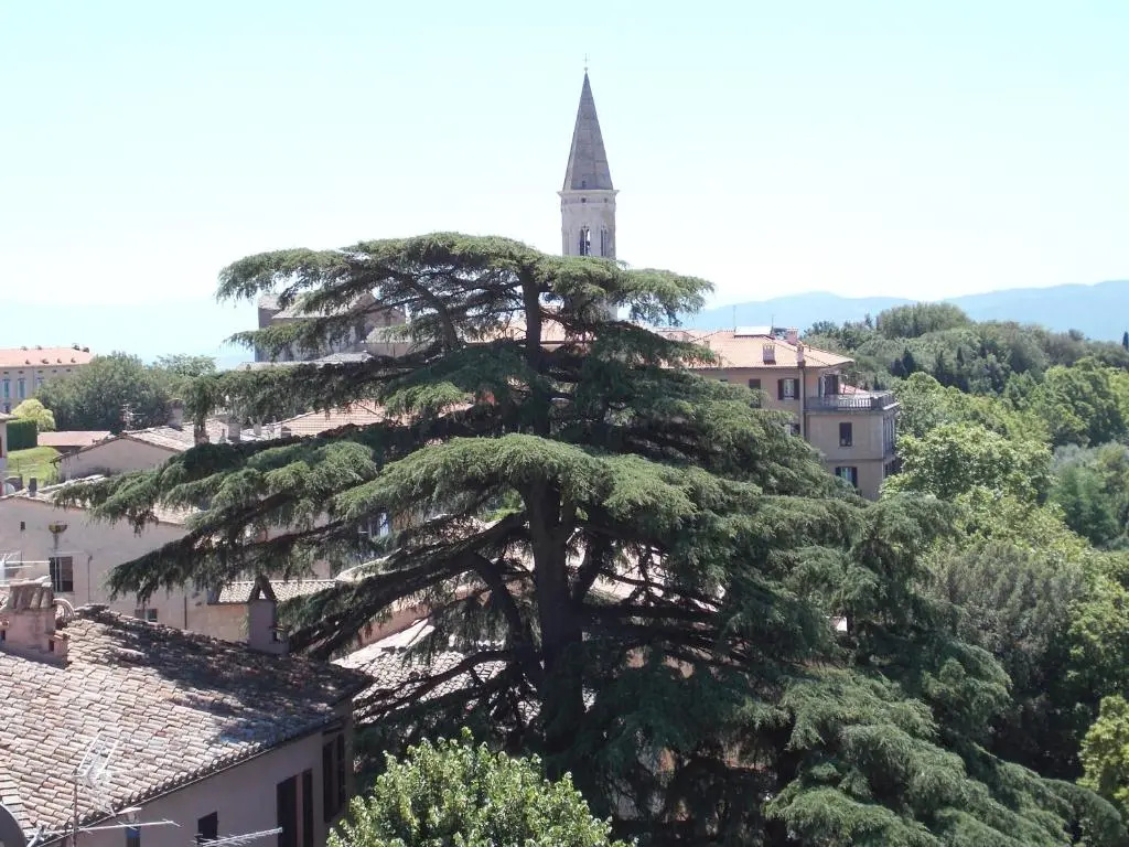 Standard Double room with view (full double bed)