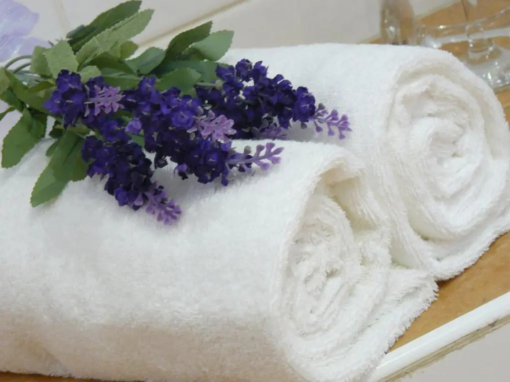 Carriers Arms Hotel - Chambres