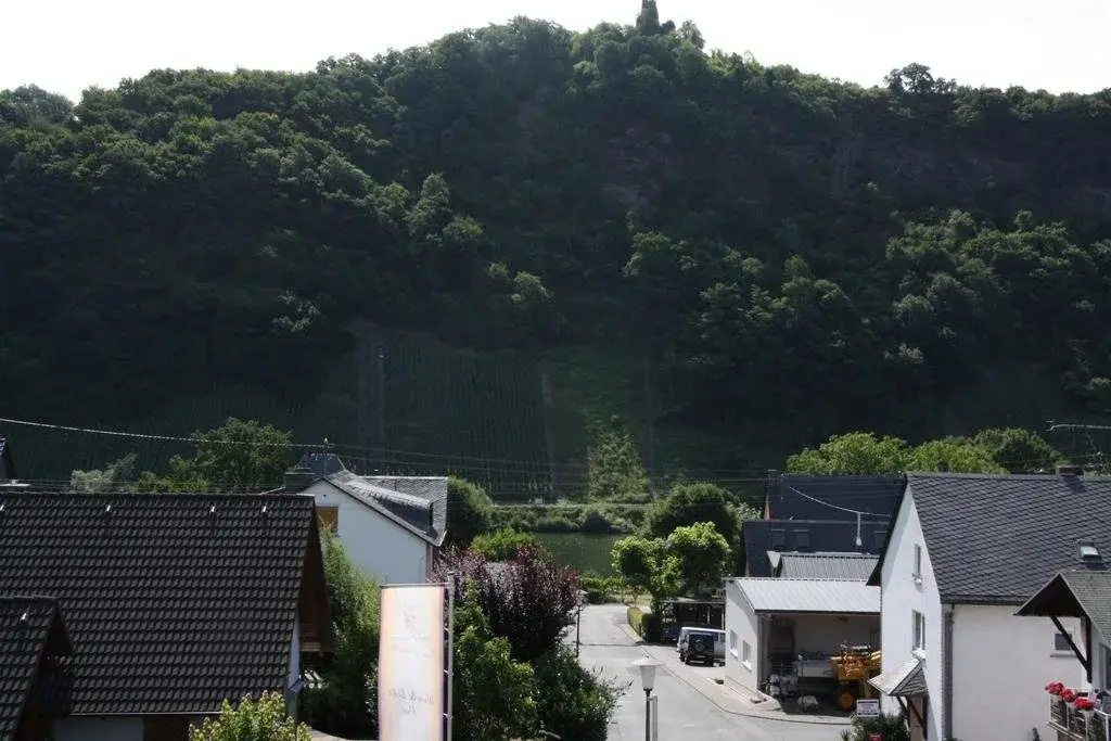 Weingut Knodt-Trossen - Général