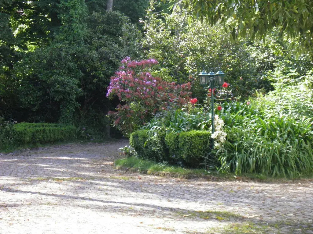 Vila Aurora - Général