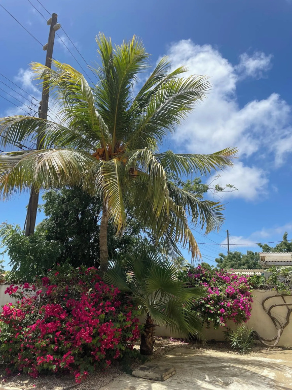 Hotel photo 31