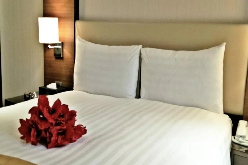 Taipei City Hotel ( Quarantine hotel ) - Général