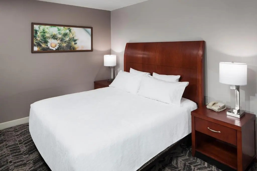 Hilton Garden Inn Dallas-Allen - Chambres
