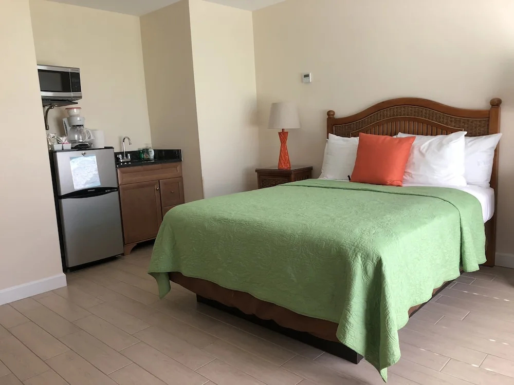 Standard Double room with garden view (full double bed)