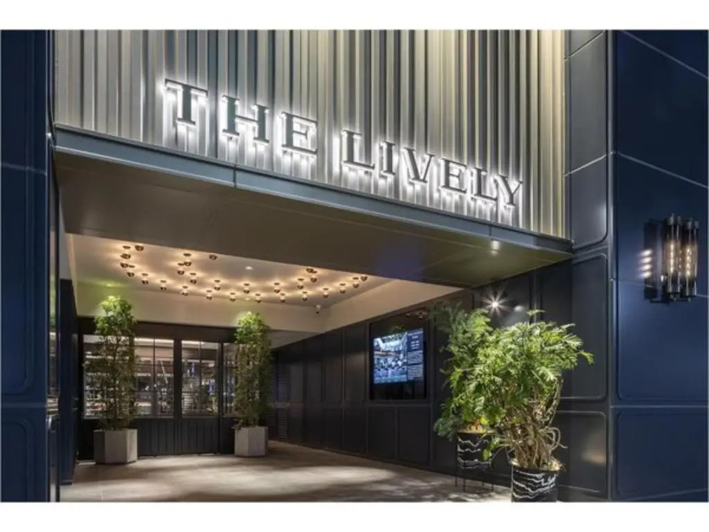 THE LIVELY HAKATA FUKUOKA - Vacation STAY 82650