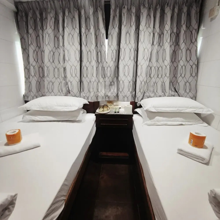 Deluxe Double room (twin beds)