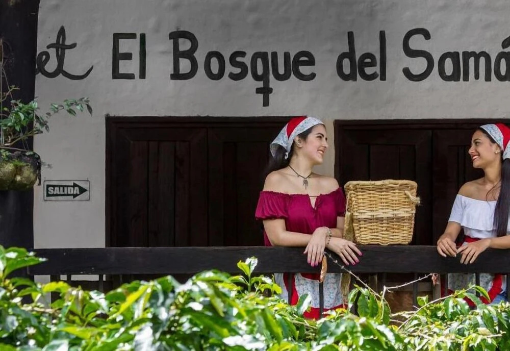 Finca Hotel Bosques del Samán Alcalá - Général