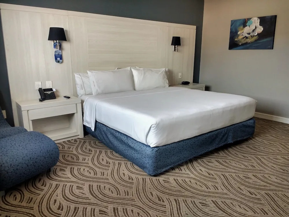 Holiday Inn Express Pachuca by IHG - Chambres