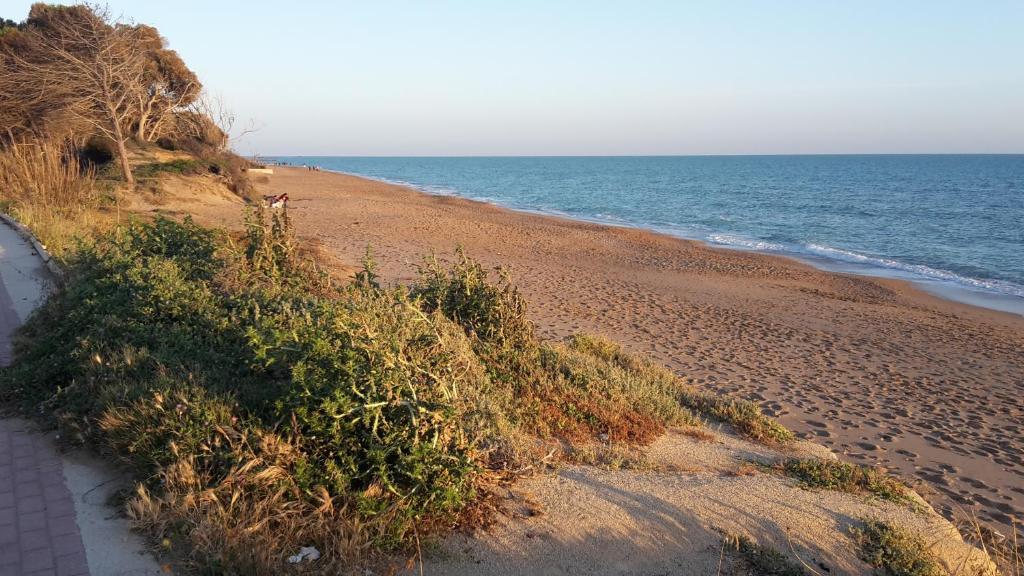 gallery_image_hidden_7