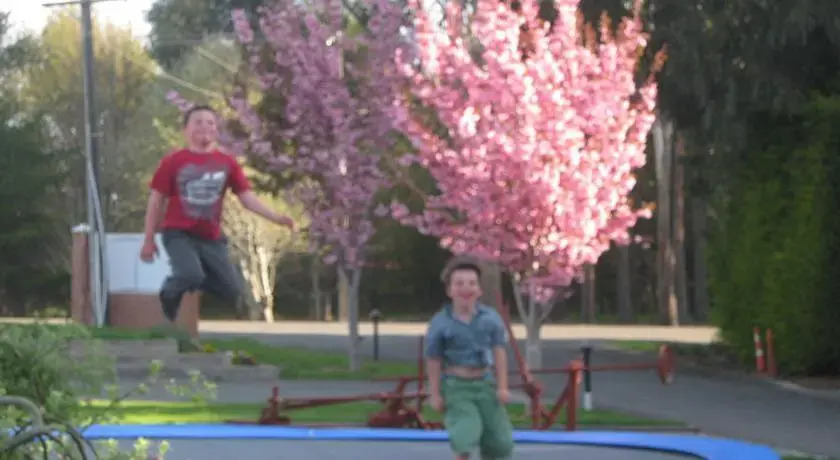 TOP 10 Motels Invercargill — фото 2