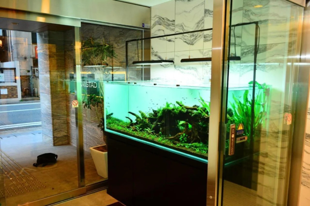 Amistad Hotel Fukuoka 사진 16